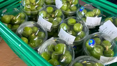 Silifke Eriği'nde Don Felaketi: Kilosu 450 TL!