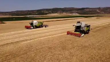 TMO'dan Yemlik Arpa ve Yulaf Satışı!