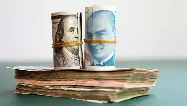 31 Aralık 2024: Dolar Kuru 35,33 TL